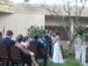 Kelly & Diego Wedding 081.jpg (107kb)